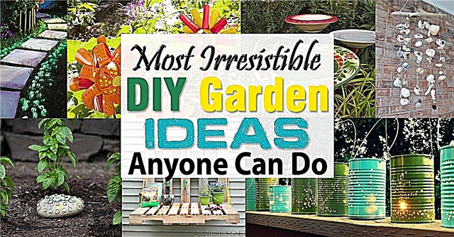 누구나 할 수있는 가장 저항 할 수없는 DIY 정원 아이디어