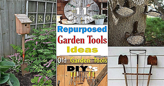 ११ पुनर्नियोजित उद्यान उपकरण विचार | पुराने गार्डन उपकरण DIY शिल्प