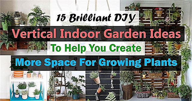 식물 성장을위한 더 많은 공간을 만드는 데 도움이되는 15 가지 DIY 수직 실내 정원 아이디어