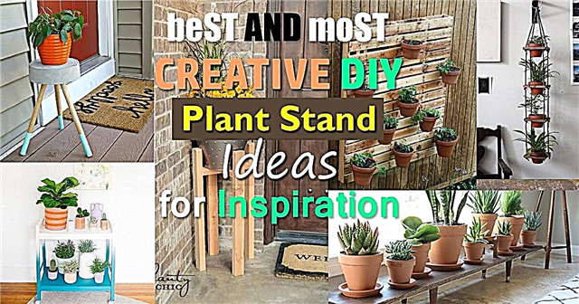 Bedste og mest kreative DIY Plant Stand Idéer til inspiration