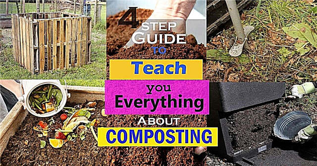Naučite se kompostiranja s tem 4-koračnim informativnim vodnikom za kompostiranje