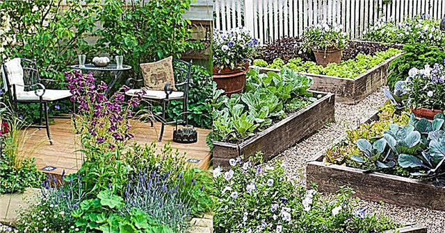 Kako stvoriti veliki vrt u malom prostoru