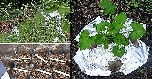 7 usos engenhosos de folha de alumínio no jardim