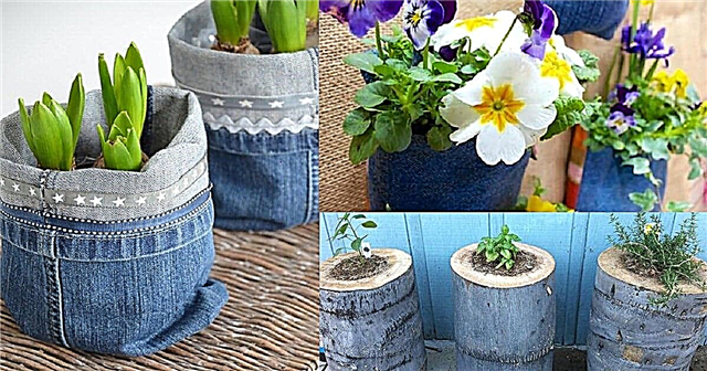 13 שימוש בג'ינס DIY בגן