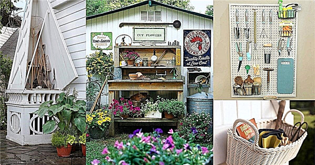 21 найкреативніша та корисна ідея для зберігання садових інструментів «зроби сам»
