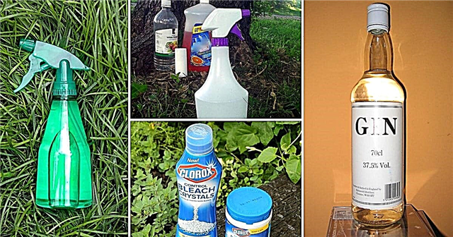 17 DIY čarobnih napojev za ubijanje plevela