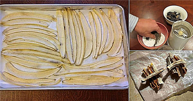 말린 바나나 껍질을 비료로 사용하는 5 가지 방법