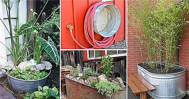 18 usos inimagináveis ​​de banheiras galvanizadas no jardim