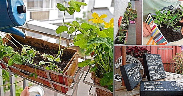 정원을위한 7 가지 DIY 신발 상자 아이디어 및 용도
