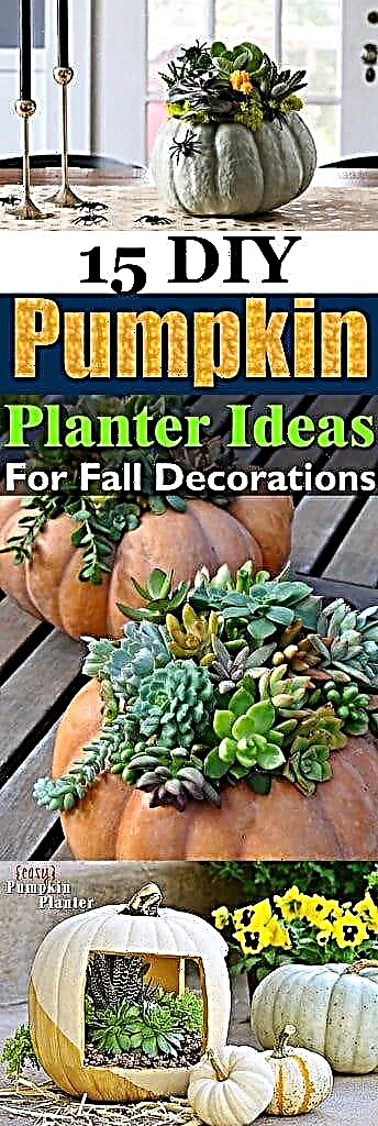 15 DIY græskarplanterideer til efterårsdekorationer