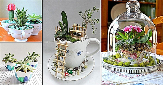 19 симпатичных идей для чайного сада своими руками | Креативные цветочные горшки