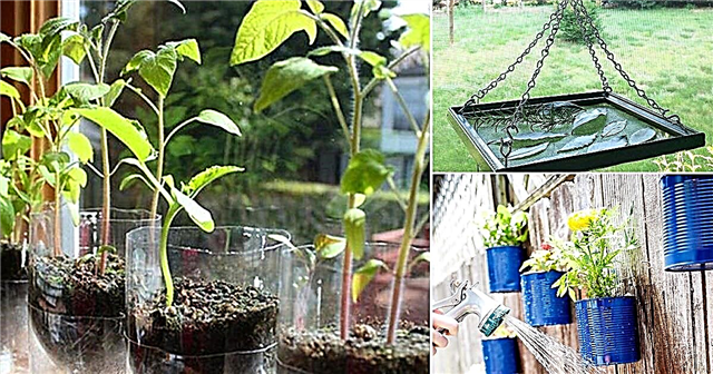 9 kreativních nápadů na recyklaci DIY pro zahradu