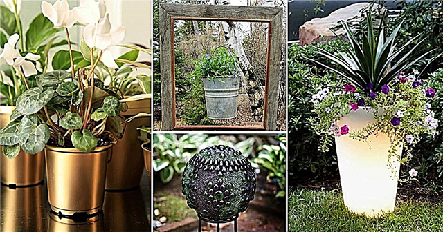 7 trendových DIY zahradních nápadů, které se mají letos držet