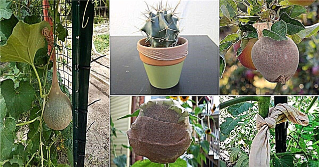 7 DIY Strumpf & Strumpfhosen Hacks für den Garten!