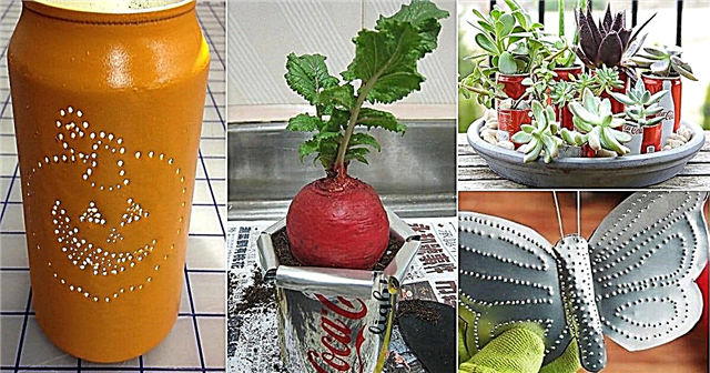 12 Nifty Soda Can DIY ideer og bruksområder for hagen
