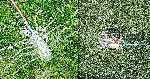 DIY Soda Bottle Garden Sprinkler