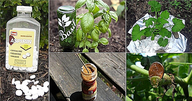Čudni načini uporabe 30 najpogostejših gospodinjskih stvari na vašem vrtu!