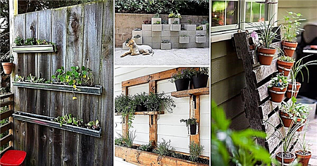 28 izcilākās vertikālās dārzkopības idejas mazo telpu pilsētu dārzniekiem