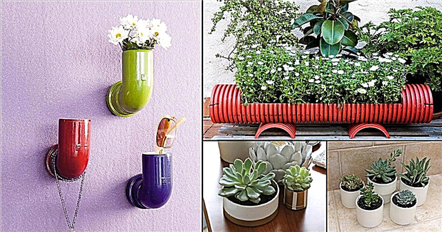 16 fioriere per tubi in PVC fai-da-te inimmaginabili per creare un giardino in PVC
