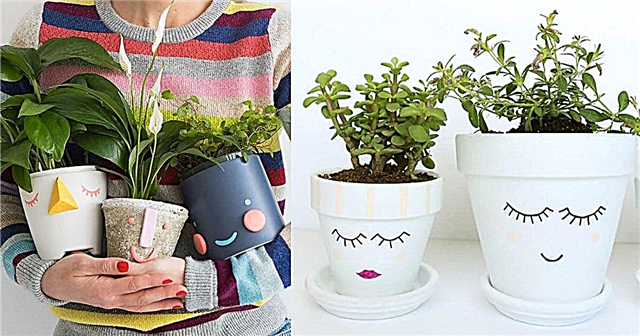 20 DIY Face Planters ที่คุณสามารถทำได้ในไม่กี่นาที