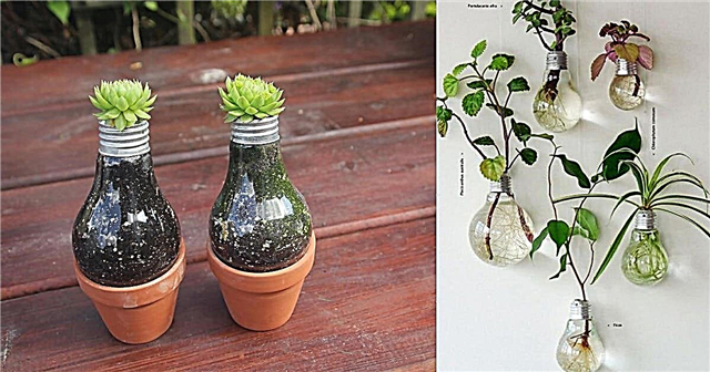 9 Blinkende DIY lyspæreplanter og terrariumideer