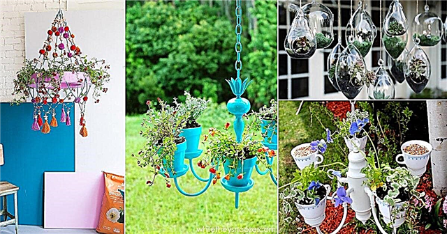 Transformez vos vieux lustres en de superbes jardinières de lustre DIY | 9 idées