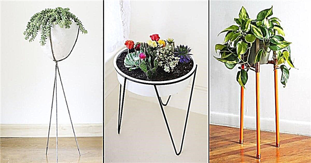 9 현대 DIY 삼각대 식물 스탠드 아이디어