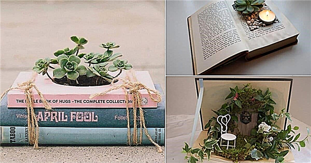 Planta en un libro | 11 ideas de jardineras de libros de bricolaje