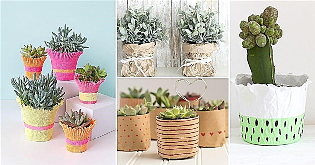Recyclez les papiers dans 14 pots de plantes en papier bricolage