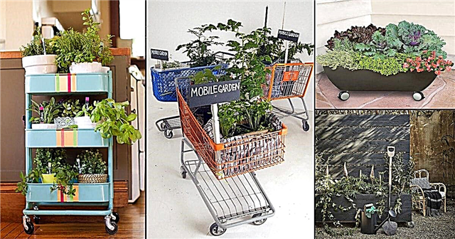 Vrtovi koji se kreću | 22 DIY mobilne vrtne ideje koje su potpuno genijalne