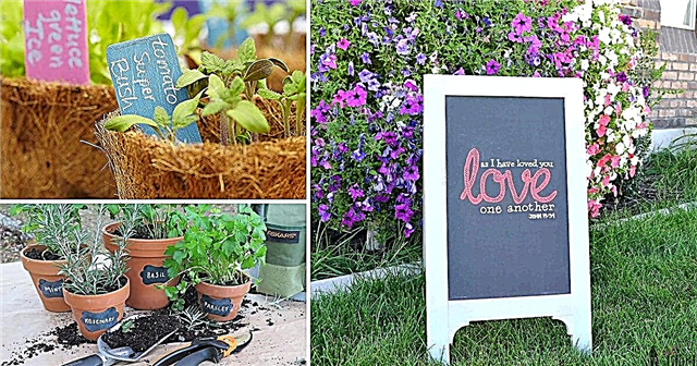 10 yksinkertaista DIY-liitutauluprojektia puutarhureille