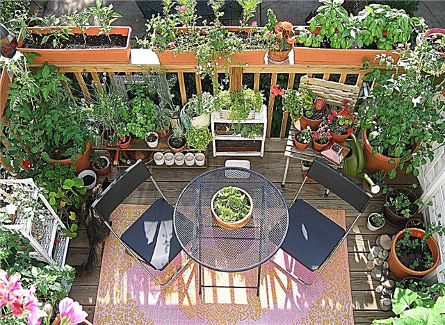 11 idej zelenjavnega vrta na krovu, da rastejo več v manj prostora