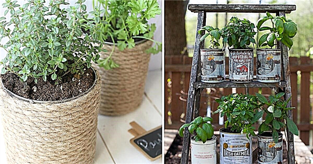 Cultivo de ervas em latas | 14 Idéias de Jardim de Ervas para Lata DIY