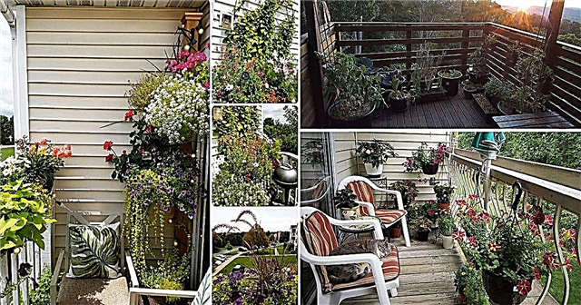 17 slika s balkonskim vrtom za nadahnuće naših čitatelja