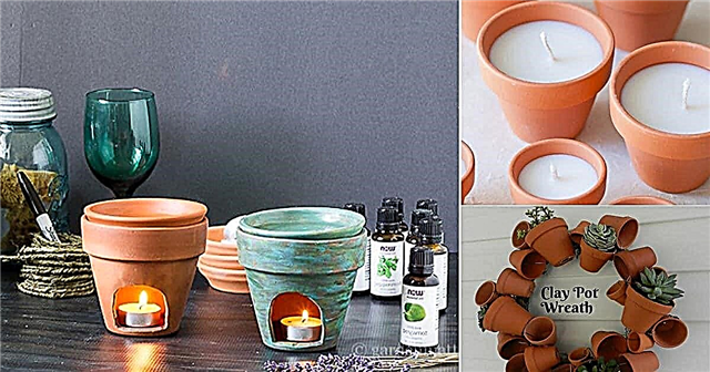 25 cose incredibili da fare con i vasi di terracotta (oltre alla piantagione)