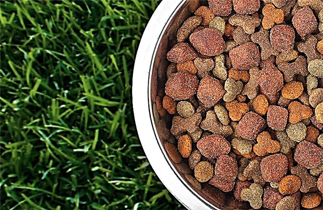 Как использовать корм для собак в качестве удобрения »вики полезно Шаги и рецепт