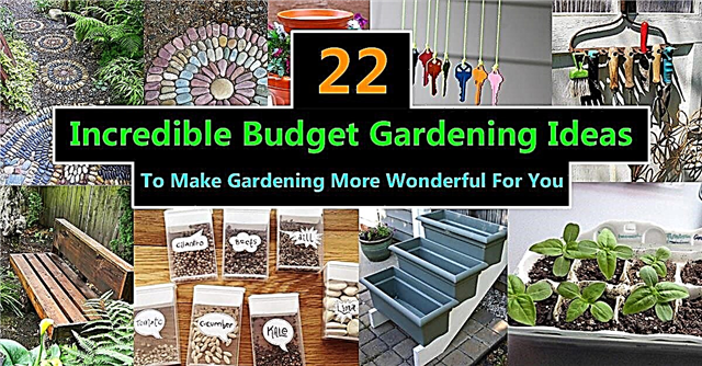 22 Otroliga budgetträdgårdsidéer | Trädgårdsidéer på en budget