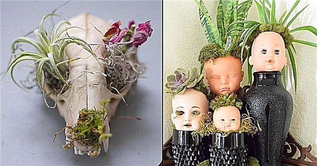 11 aterradoras ideas de jardineras de Halloween para agregar un toque espeluznante