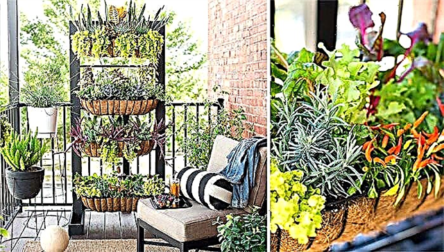 8 DIY verticale tuinprojecten voor balkon