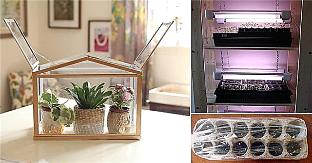 15 DIY Mini Indoor Greenhouse Ideas for Winter & Early Spring ideoita ja ehdotuksia