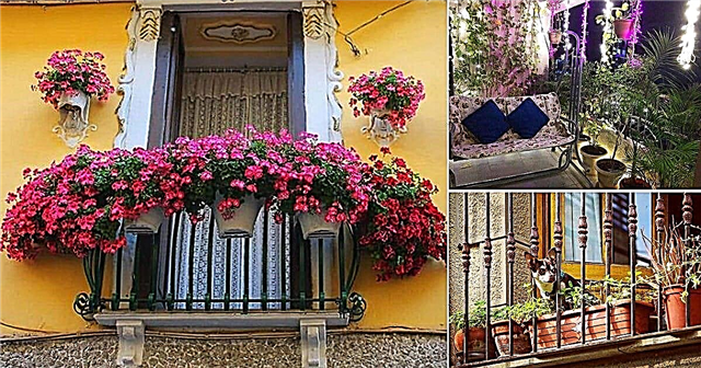 47 „Instagram“ balkonų sodai kiekvienam balkono sodininkui