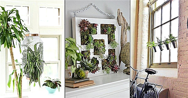 21 DIY IKEA-hack for planteforedlere | IKEA hagehacks