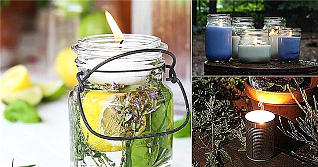 12 Домашни домашни свещи за отблъскване на комари