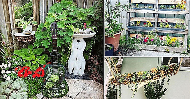40+ idee per il giardino fai da te funky da rubare da Instagram