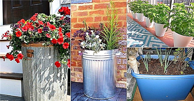 10 jardineras baratas para cubos de basura que se ven geniales