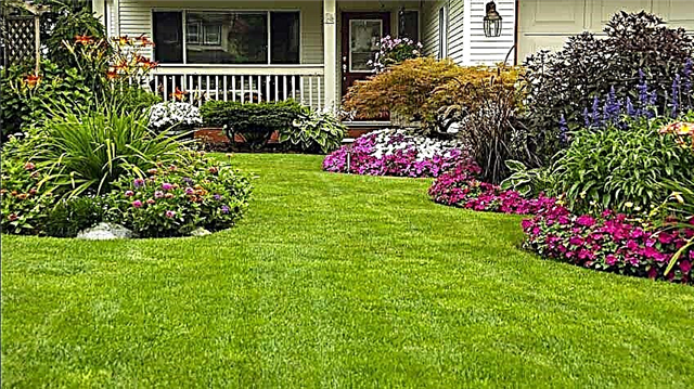 16 effektive Tipps zur Rasenpflege für üppig grünen Rasen
