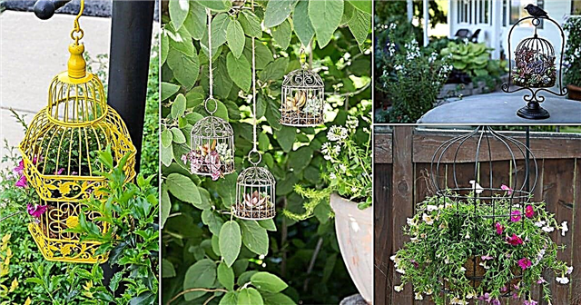 9 ideas geniales de jardineras de jaulas para pájaros de bricolaje