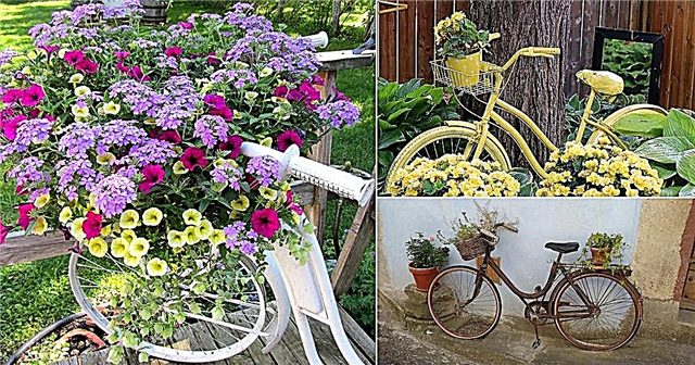 10+ DIY cykelplanterideer (billig men fuld af kreativitet)