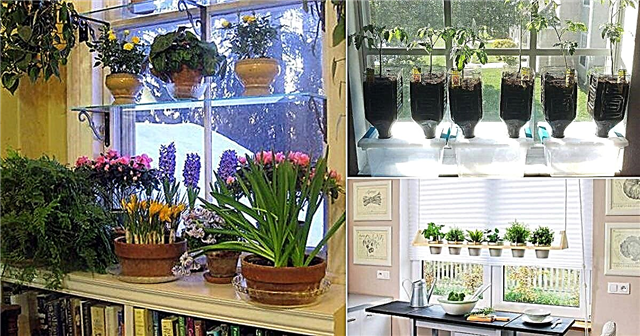 도시 정원사를위한 16 DIY 실내 창문 정원 아이디어