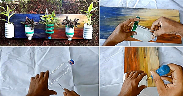 Κατακόρυφος κήπος πλαστικών μπουκαλιών DIY